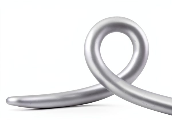 JASYA Shower Hose Stainless Steel 360 Rotation Flexible-4