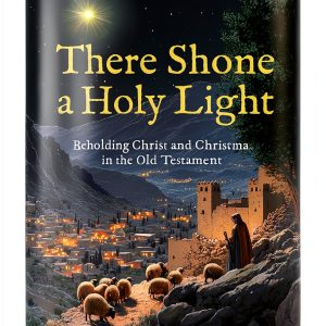 Old Testament Meditations eBook Christian Focus-0