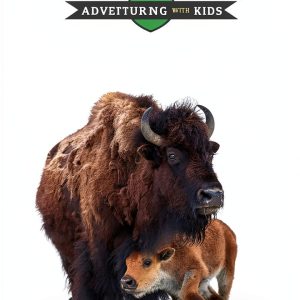 Yellowstone Travel Guide Kindle eBook Family by Mountaineers Books-0